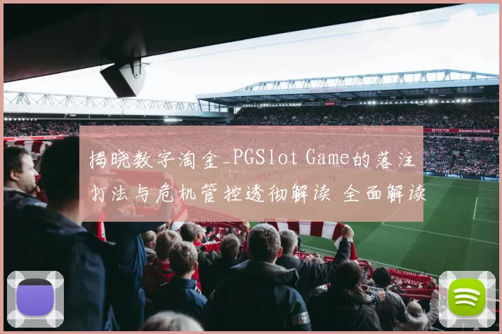 揭晓数字淘金_PGSlot Game的落注打法与危机管控透彻解读 全面解读