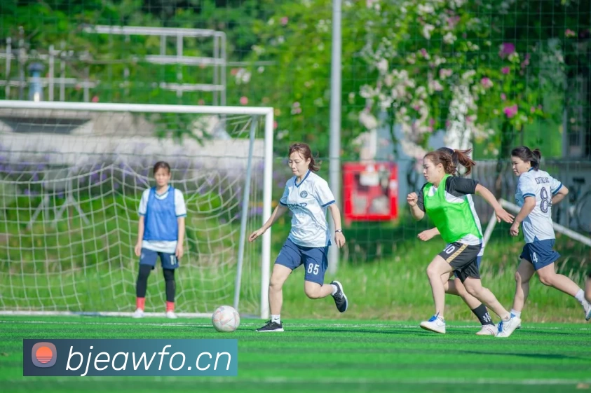 多媒体互动体验